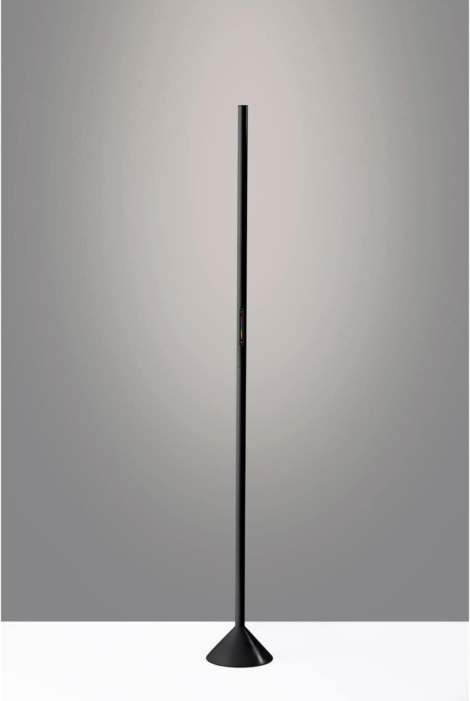 Simplee Adesso Cole LED Color Changing Wall Washer Floor Lamp, Matte Black, Plastic, Frosted Diffuser Shade