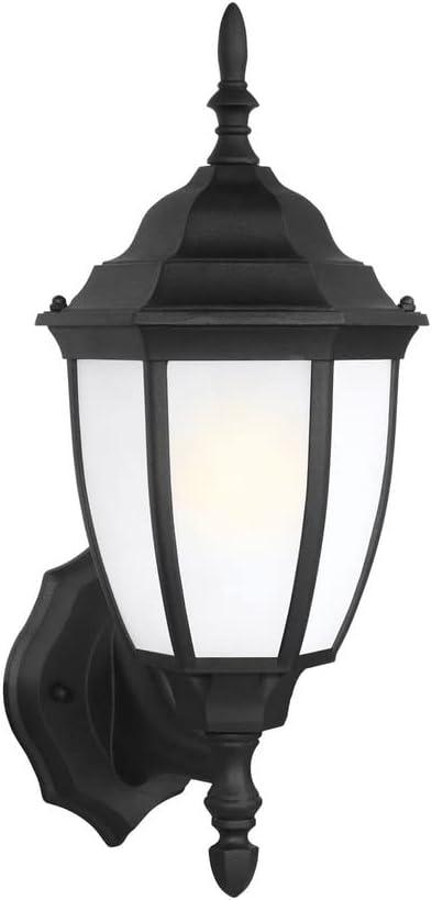 Black Satin Etched Glass Outdoor LED Wall Lantern Sconce