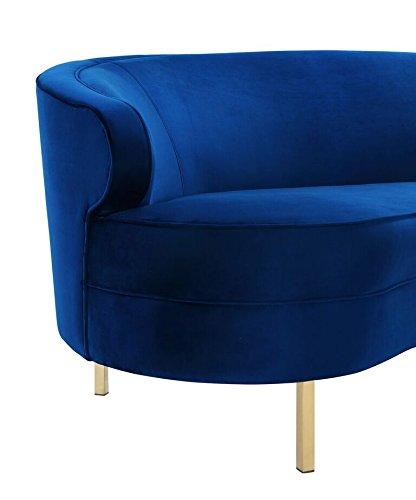 Elegant Navy Velvet Curved Sofa with Gold Stainless Steel Legs