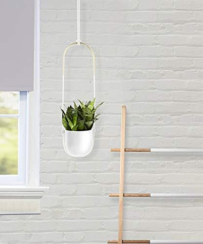 Umbra Bolo Ceramic Hanging Planter