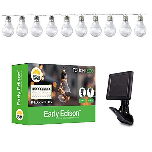 Williston Forge Shemar Outdoor 10 - Bulb 20'' Solar Powered LED Globe String Light