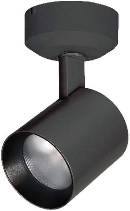 WAC Lighting 1 - Head LED Hardwired Outdoor Security Spotlight
