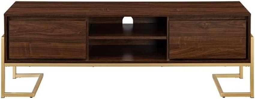 Pemberly Row 60" 2-Drawer Modern Wood Media Console - Dark Walnut