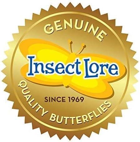 Insect Lore Giant Butterfly AIF9 Garden with Voucher | 18 Inch Habitat | Life Cycle Figurines Included | Voucher to Redeem 5 Baby Caterpillars Later | Raise Painted Lady Butterflies