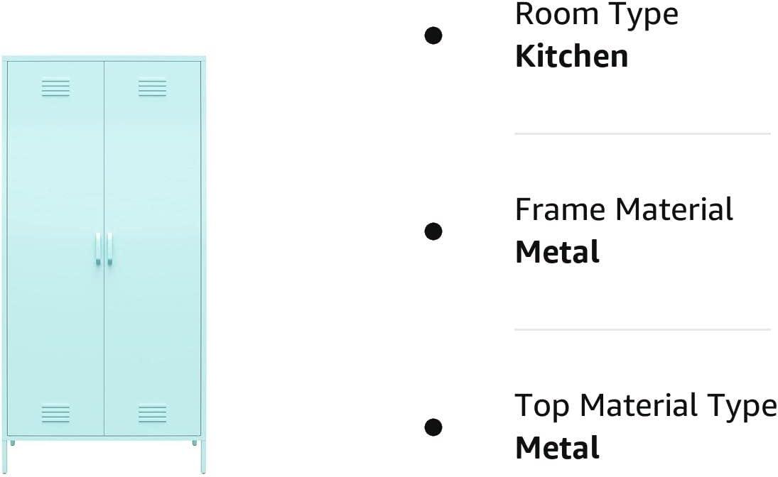 Cache 2 Door Tall Metal Locker Style Storage Cabinet