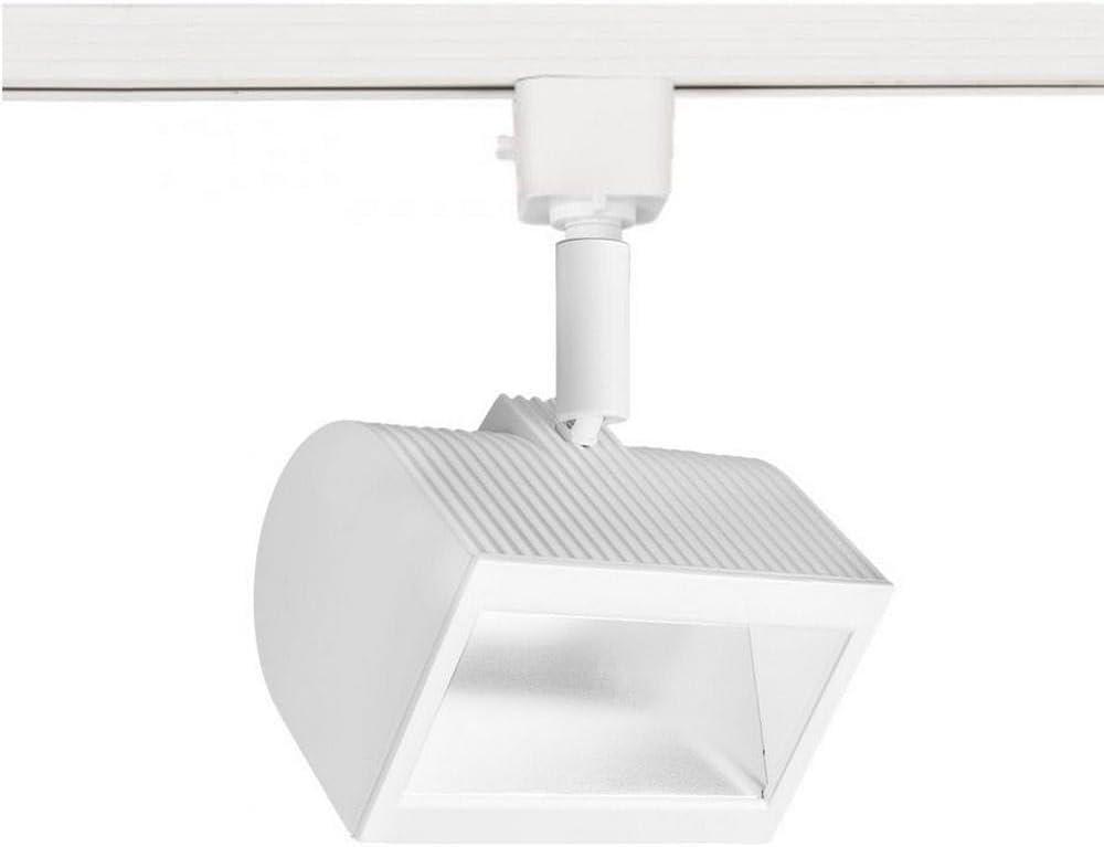WAC Lighting L-3020W-30-WT Wall Wash LED Adjustable Track Head