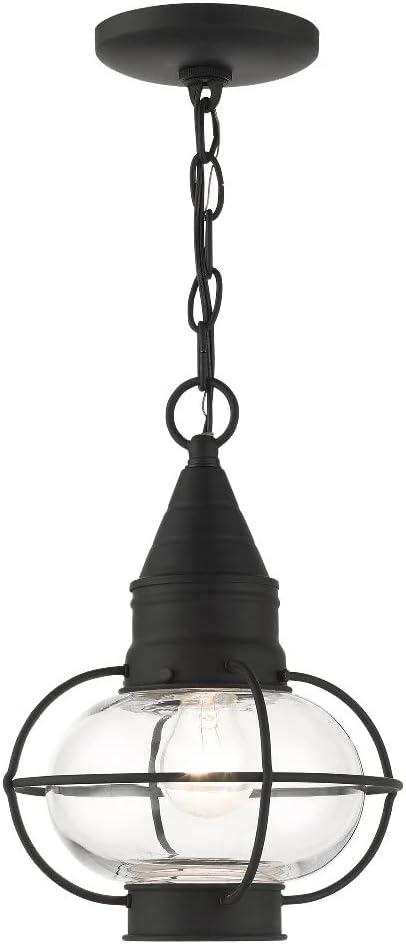 Medium Black Brass and Glass Outdoor Pendant Lantern