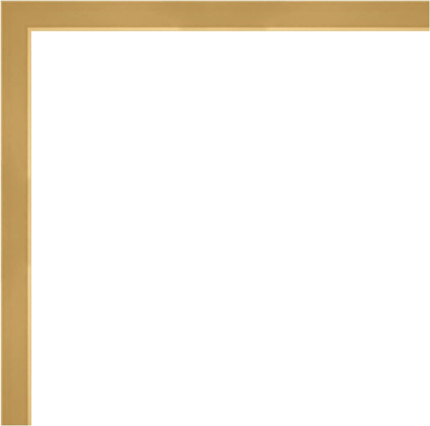 21" x 21" Ficus I by Asia Jensen Framed Wall Art Print Pink - Amanti Art: Modern Hardwood Frame, Botanical Lithograph