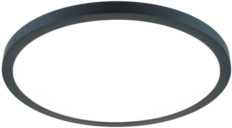 Simple Circle Dimmable LED Flush Mount Light