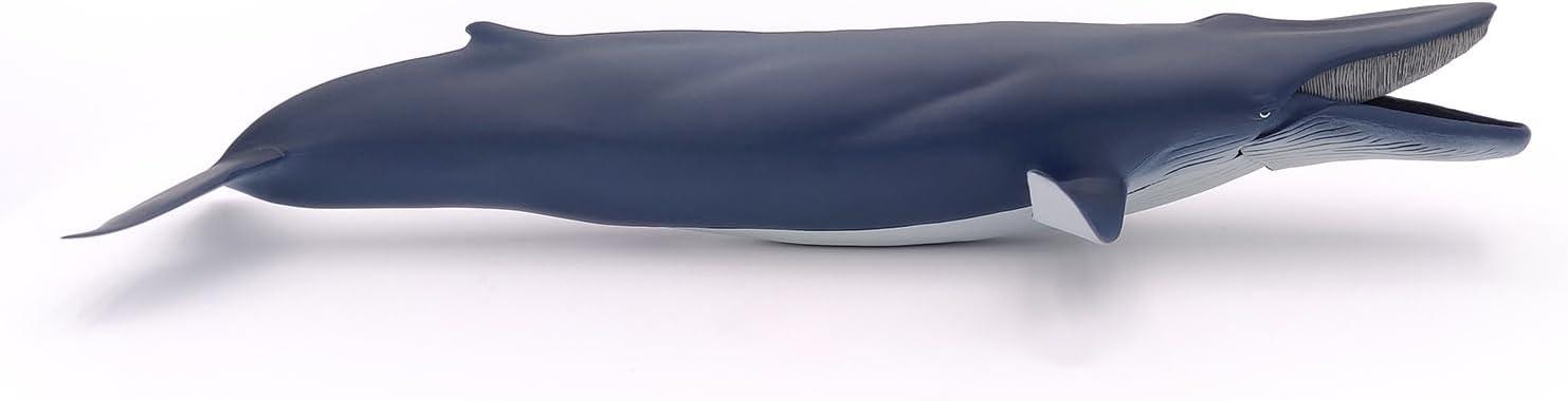 Papo - Blue Whale - Figurine Marine Animals - 3 Years Old - Cetaceans and Marine Mammals - Hand Painted - Durable Educational Toy - 38,5 x 17 x 7,5 cm - Children's Toy - Gift Idea - Blue Whale Toy