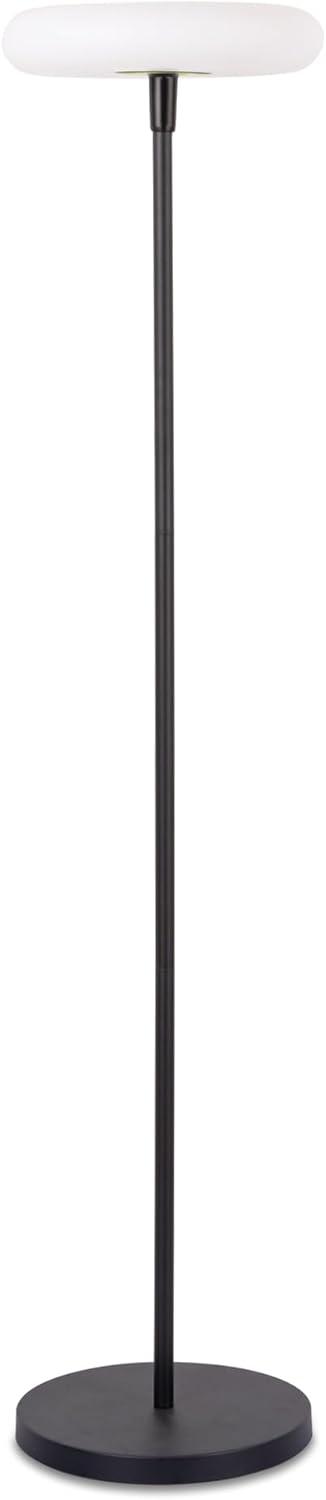 Black Solar Powered Dusk to Dawn Outdoor Floor Lamp