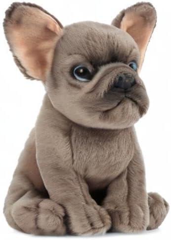 Living Nature French Bulldog Puppy