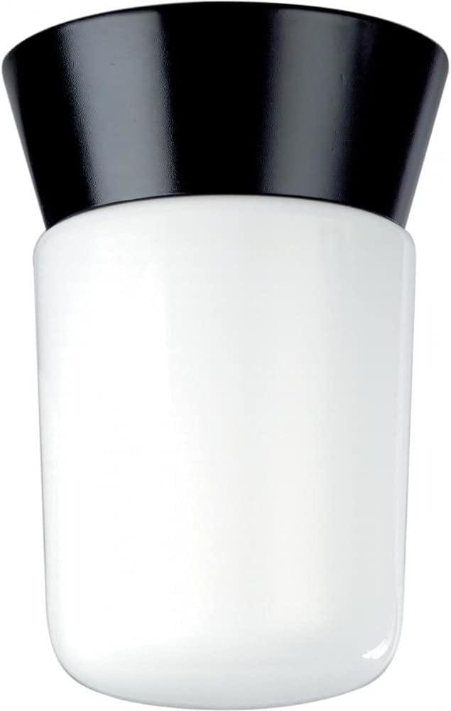 Sleek Outdoor 8" Black Ceiling Mount with Frosted Glass Shade