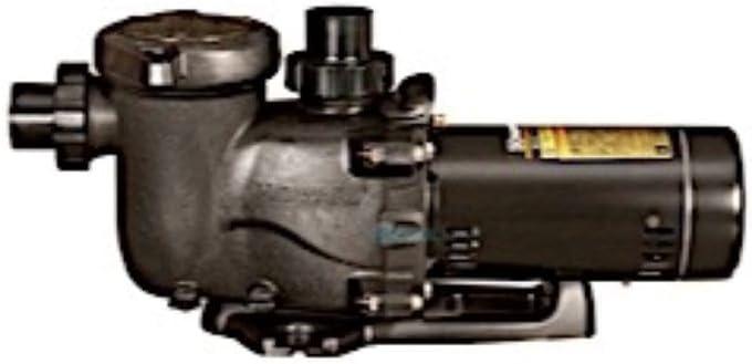 Hayward Black Heavy-Duty 1 HP Pool Pump