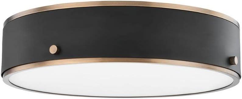 Oslo Flush Mount Light - Brass and Black / 16" Dia