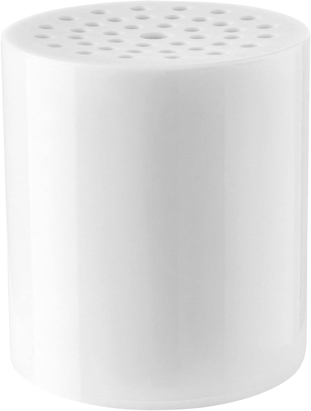 Rain Fixed Shower Head 2.5 GPM GPM with Water Filtration