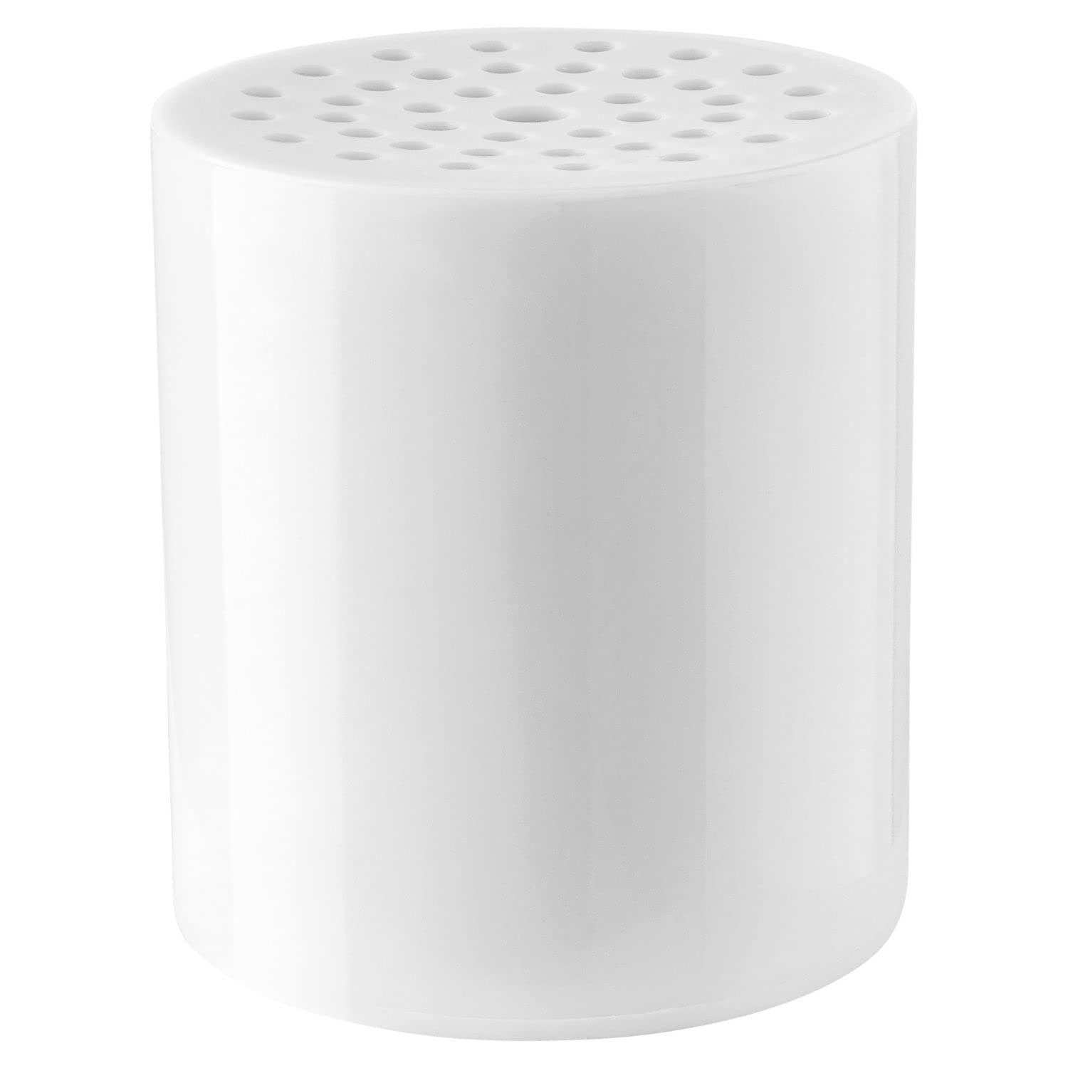 Rain Fixed Shower Head 2.5 GPM GPM with Water Filtration