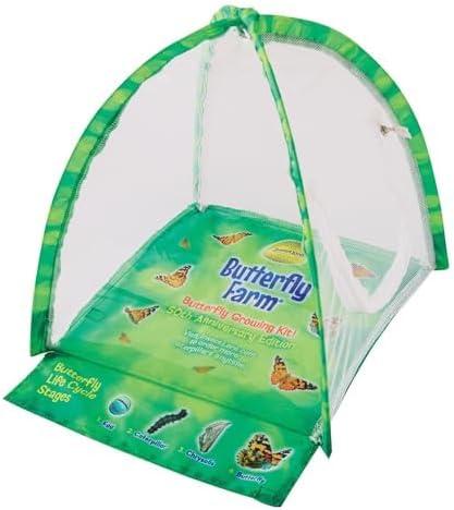 Butterfly Farm Kit with Live Caterpillars and Habitat