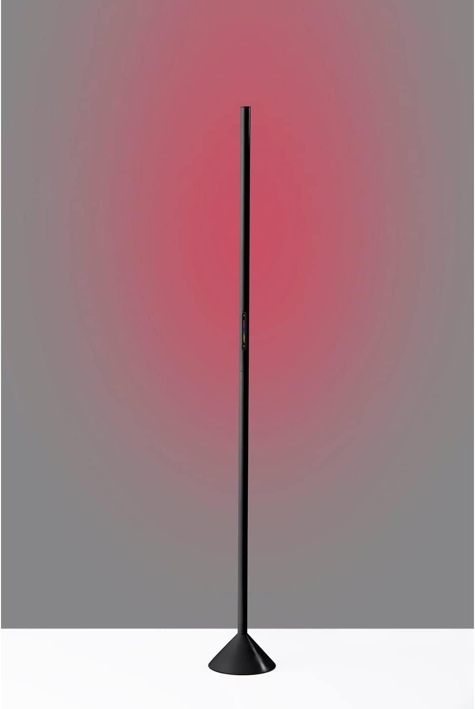 Simplee Adesso Cole LED Color Changing Wall Washer Floor Lamp, Matte Black, Plastic, Frosted Diffuser Shade