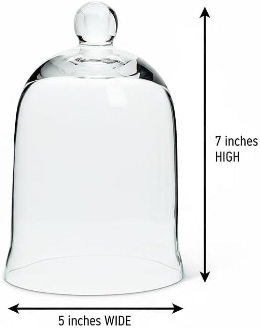 Abbott Collection 27-Carolyn Sm Bell Shaped Cloche-7" H, 7", Clear