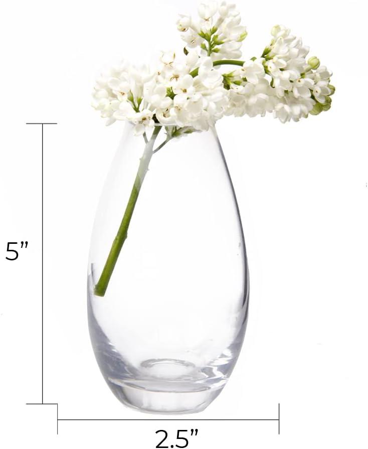 CHIVE ‘George’ Glass Bottle Flower Vases — Set of 6 — Small, Elegant Clear Glass Bud Vases — Bulk Pack for Home Decor & Table Centerpieces — Shape 5 (Oval, 5” Tall, 2.5” Wide)