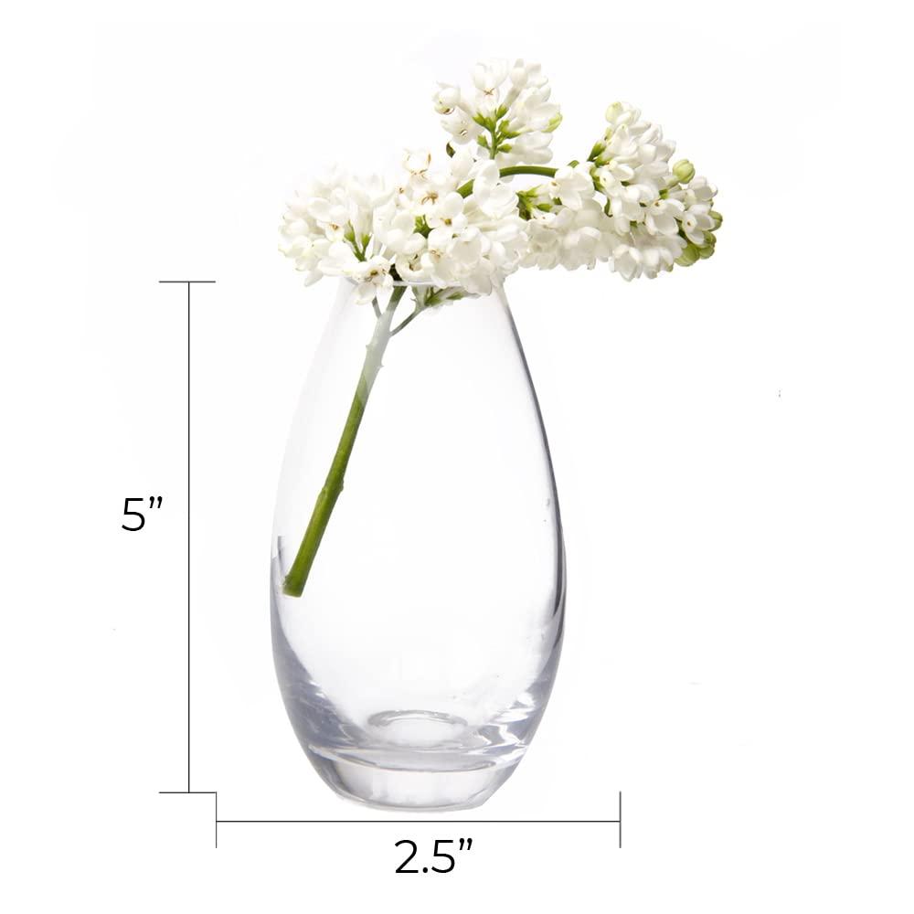CHIVE ‘George’ Glass Bottle Flower Vases — Set of 6 — Small, Elegant Clear Glass Bud Vases — Bulk Pack for Home Decor & Table Centerpieces — Shape 5 (Oval, 5” Tall, 2.5” Wide)