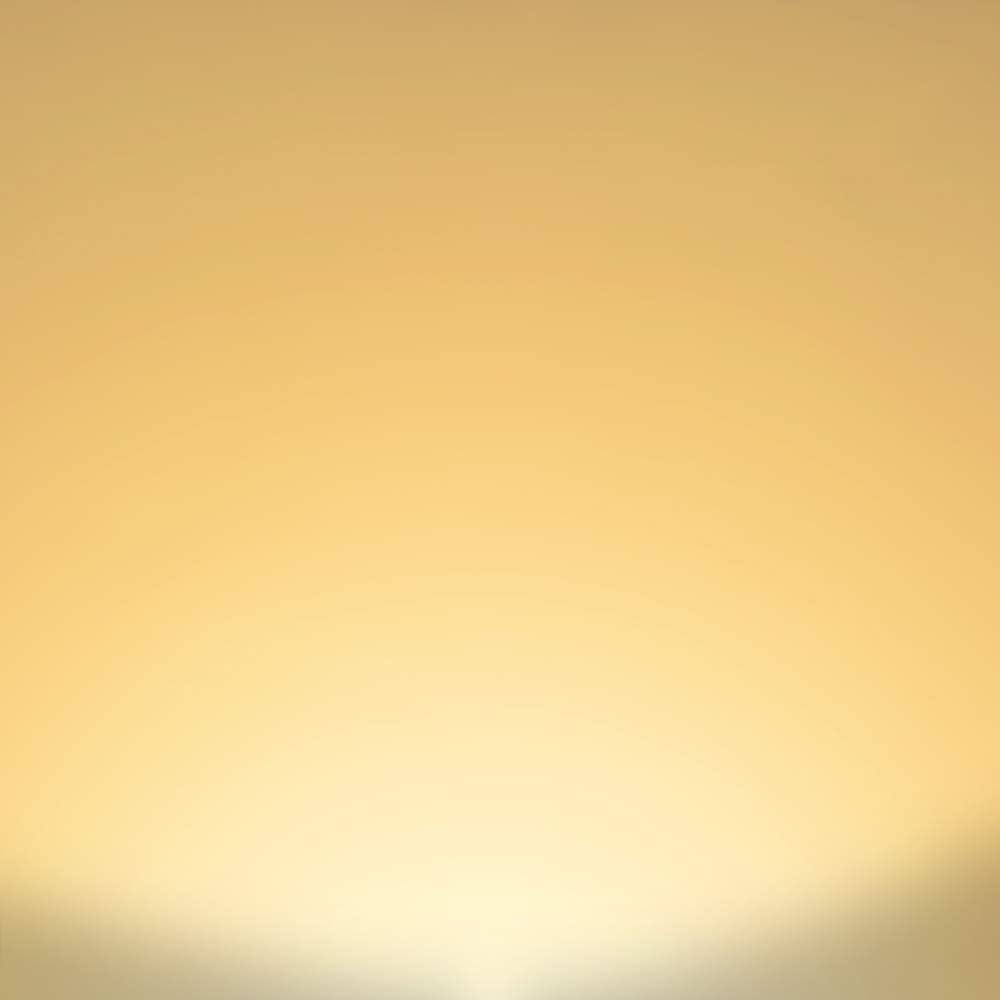 YGA03C59-10W 10 Watt A19 LED Light Bulb E26/Medium (Standard) Non-Dimmable,1200lm,4000K