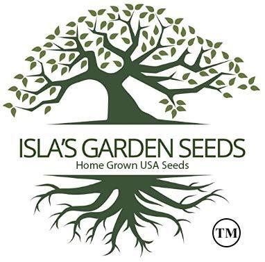 Dwarf White Rose Mallow Flower Seeds for Planting, 100+ Seeds Per Packet, (Isla's Garden Seeds), Non GMO & Heirloom Seeds, Botanical Name: Lavatera Trimestris, Great Home Garden Gift