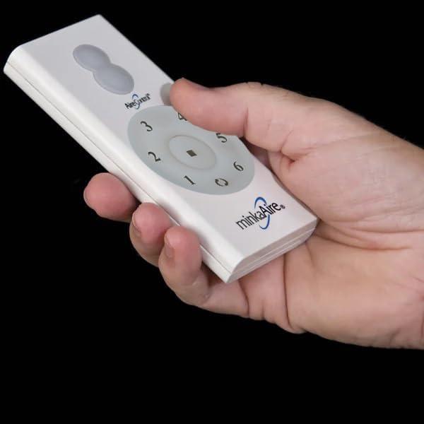 Air Ceiling Fan Remote & Wall Controls