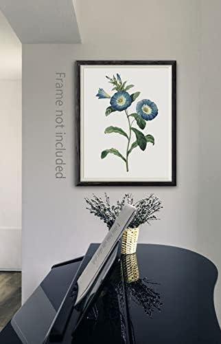 Blue Flower Canvas Wall Art Print, Vintage Floral Botanical Decor Antique Botany Poster, Blue Tone Morning Glory Water Lily Hyacinth Gentian Decorate for Office, Set of 4 ,8 X 10 In Unframed