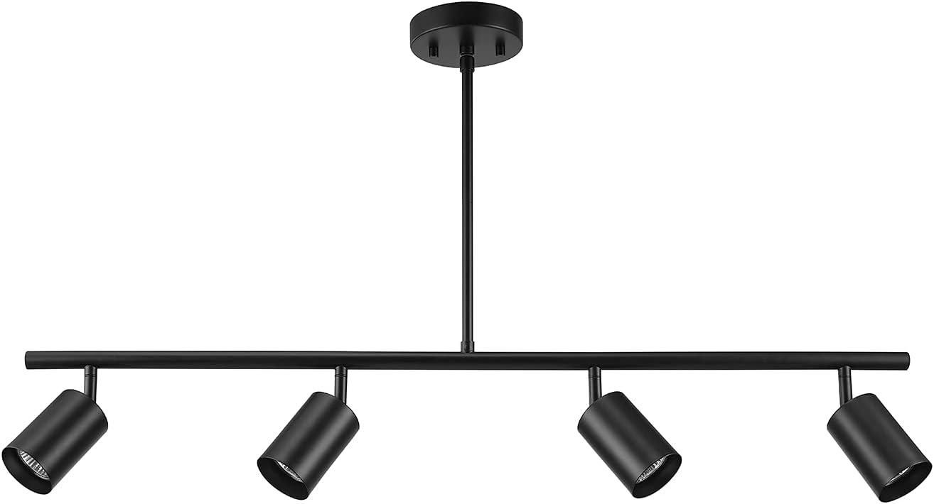 Willard Matte Black 4-Light Adjustable Track Lighting