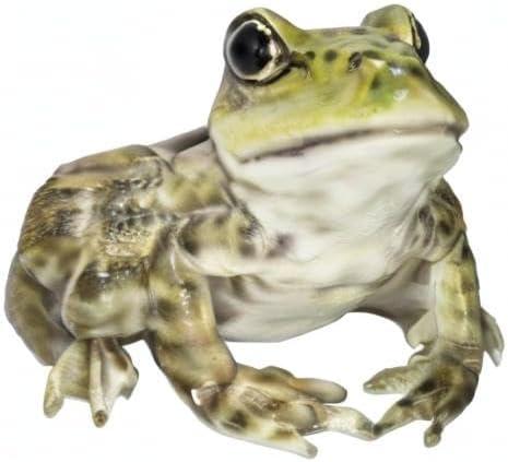 American Bullfrog