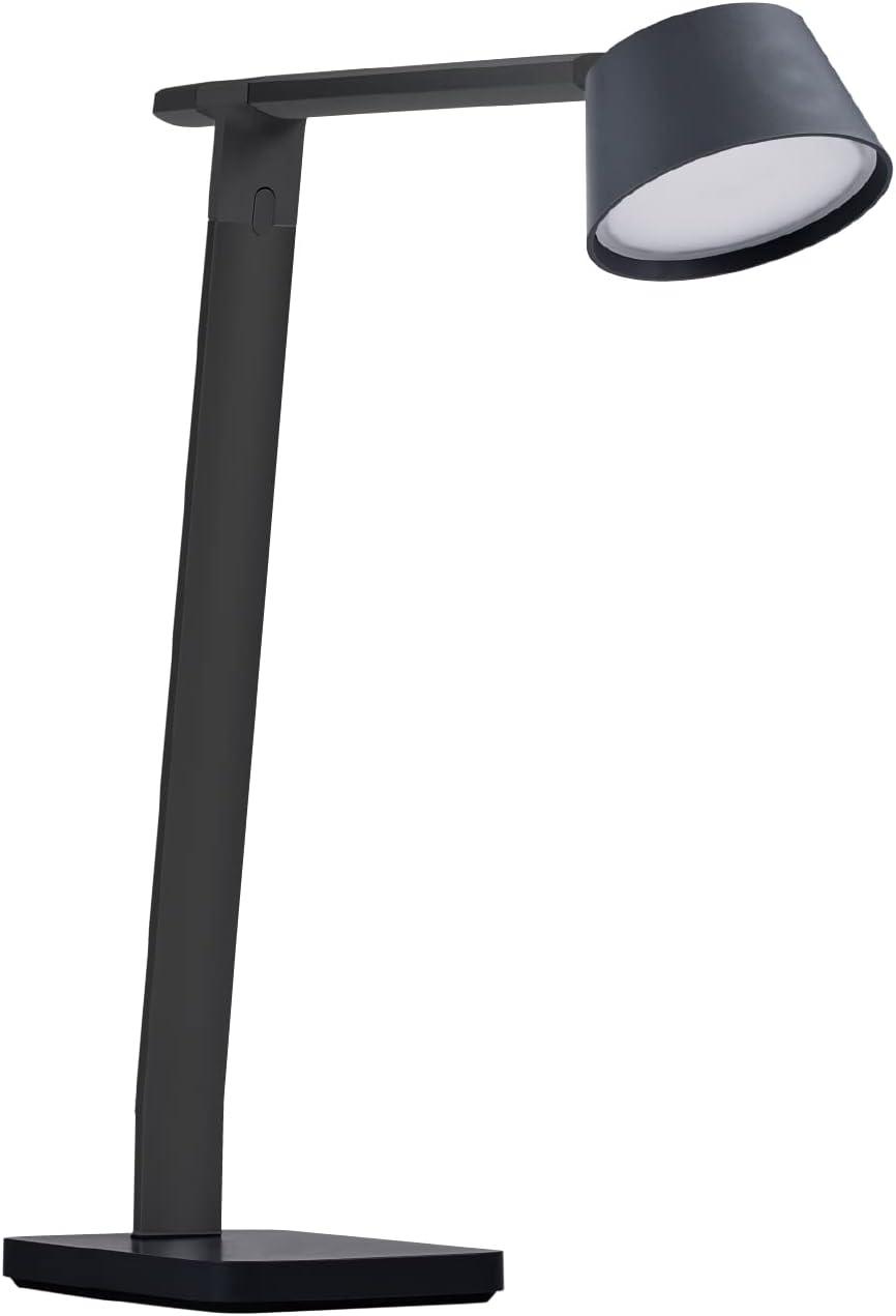 Black Adjustable LED Desk Lamp with USB Charging Port