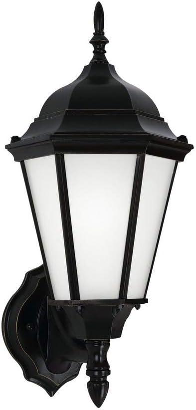 Bakersville 17" Black Transitional Outdoor Wall Lantern