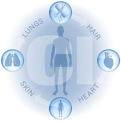 Waterwise Deluxe Showerwise Filtration System (1195)