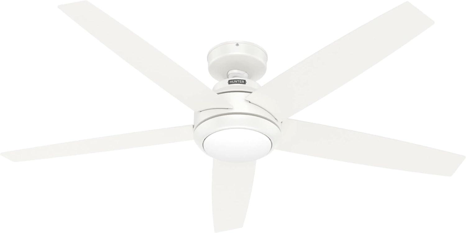 52" Zayden 5 - Blade Ceiling Fan With Lights and Remote