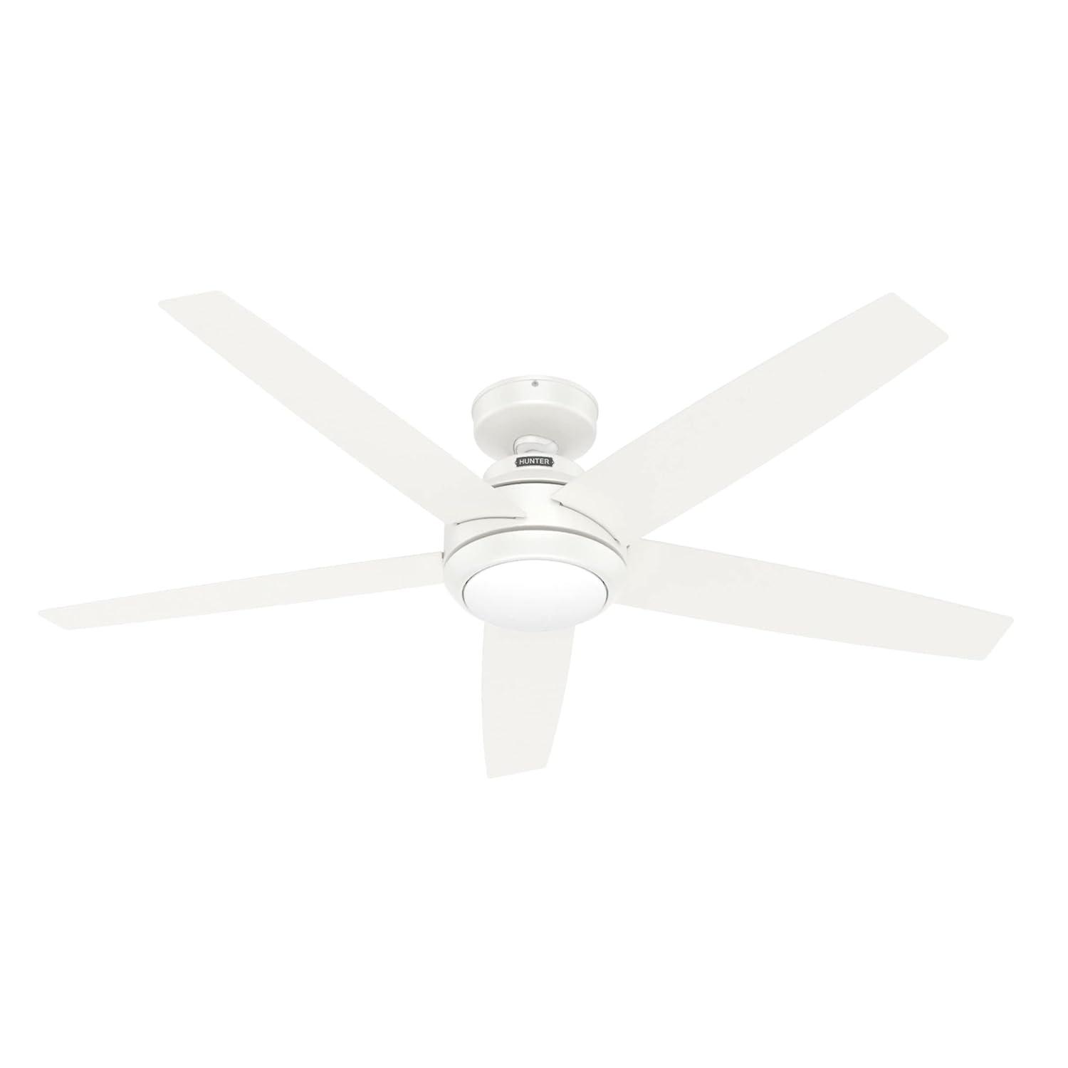 52" Zayden 5 - Blade Ceiling Fan With Lights and Remote