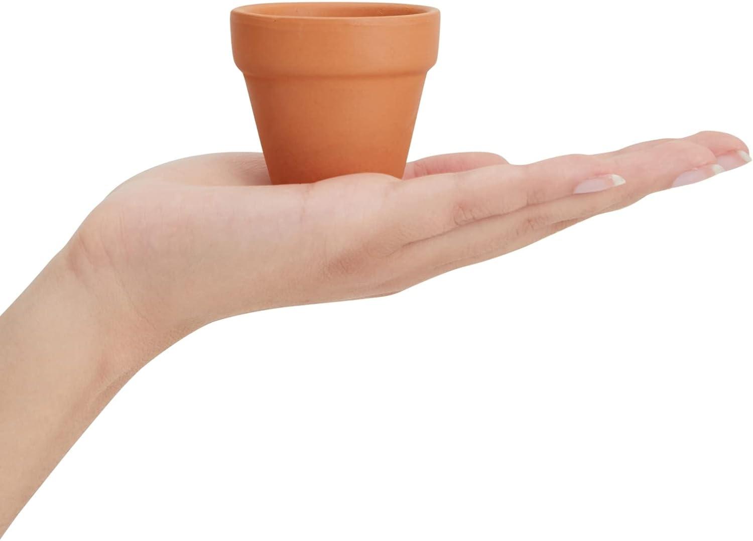 Charming Mini Terracotta Planters with Drainage for Succulents and Herbs, 10-Pack