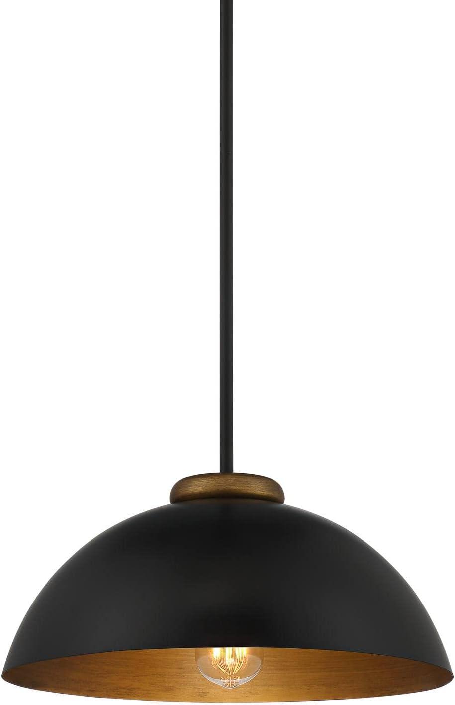 Janie Modern Industrial Black and Gold Dome Pendant Light