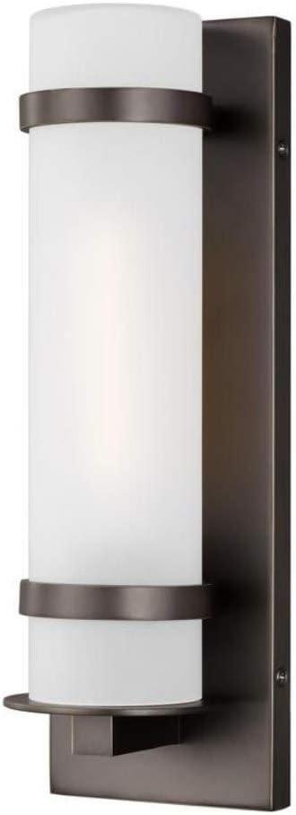 Alban Small 1-Light Antique Bronze Outdoor Wall Mount Cylinder