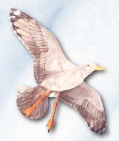 Ivory and Beige Fiberglass Sea Gull Kite with 42.5" Wingspan