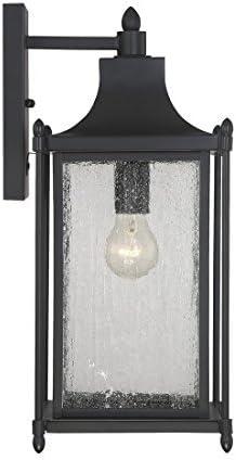 Dunnmore 1-Light Outdoor Wall Lantern in Black