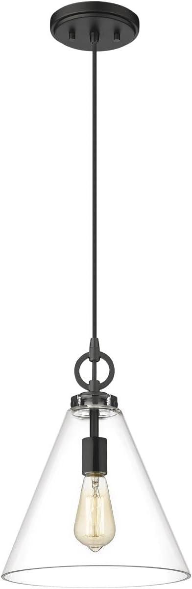 Z-Lite Harper 1 - Light Pendant in  Matte Black