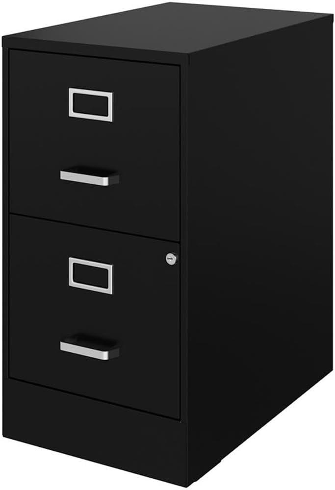 Scranton & Co 22" 2-Drawer Traditional Metal File Cabinet in Black