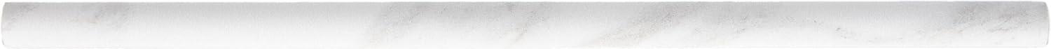 Daltile Perpetuo 1/2" X 12" Glazed Ceramic Wall Jolly in Satin (Sold by the piece)