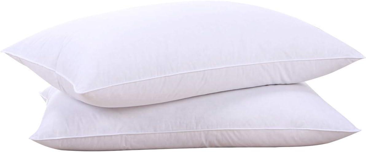 puredown® Goose Feathers Bed Pillows, 100% Cotton Cover, Queen Size Hotel Collection Pillows Set of 2 for Sleeping with Silver Piping, Feather and Polyester Filling