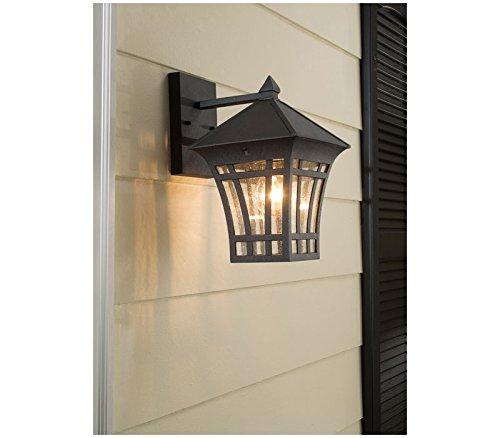 Herrington Transitional Black 11'' Outdoor LED Pendant