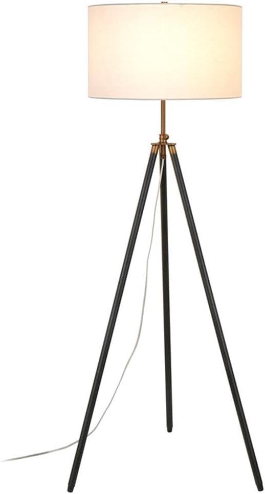 Evelyn&Zoe Minimalist Metal Floor Lamp