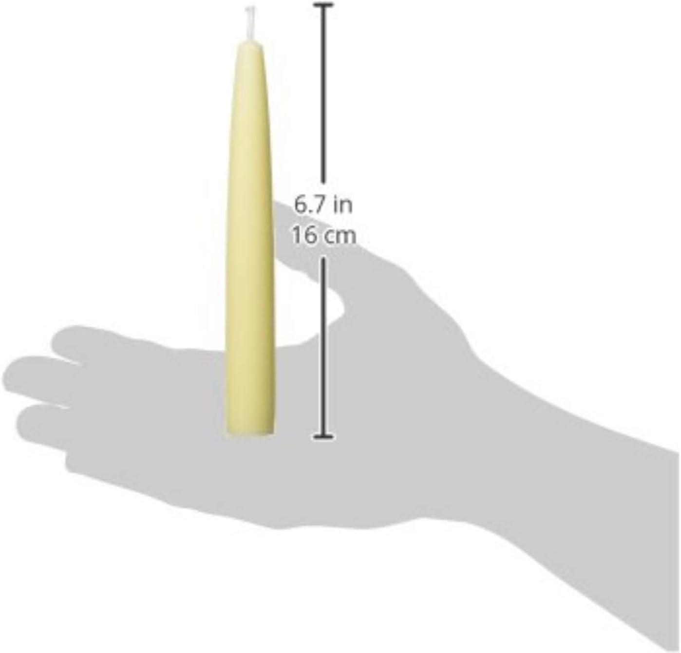 Zest Candle Taper Candles (1 Dozen)