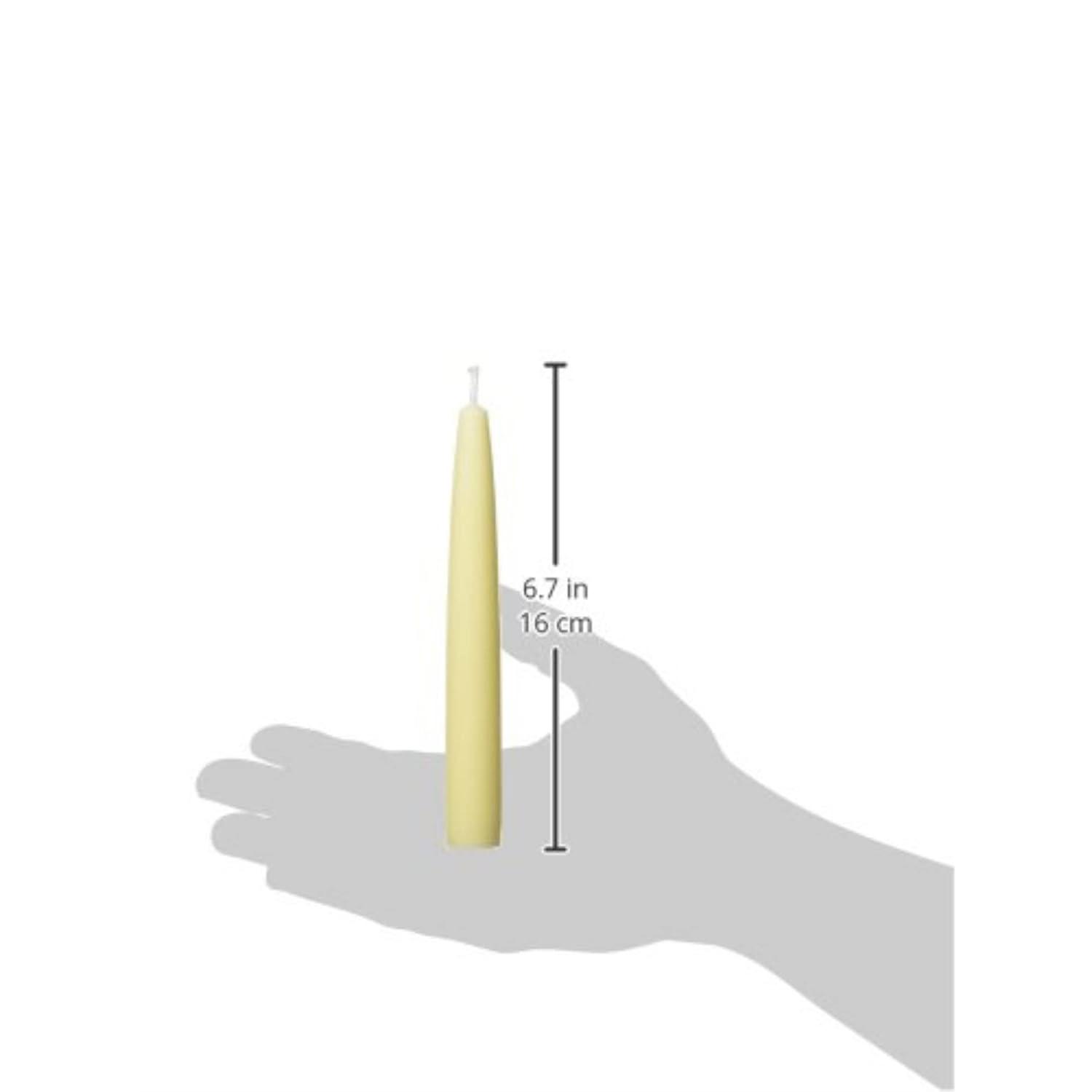 Zest Candle Taper Candles (1 Dozen)